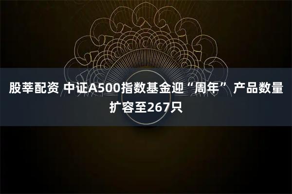 股莘配资 中证A500指数基金迎“周年” 产品数量扩容至267只