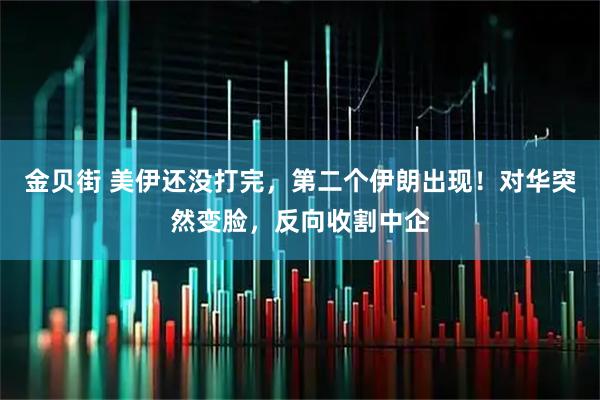 金贝街 美伊还没打完,第二个伊朗出现!对华突然变脸,反向收割中企