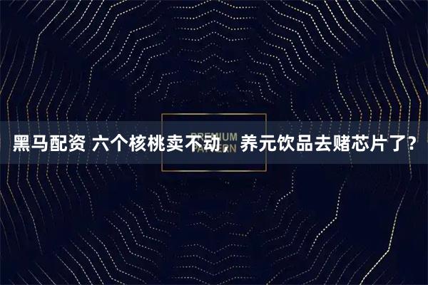 黑马配资 六个核桃卖不动,养元饮品去赌芯片了?