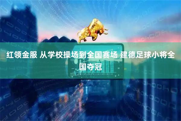 红领金服 从学校操场到全国赛场 建德足球小将全国夺冠